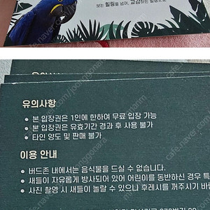 가평 베고니아 새정원 티켓 4매 팝니다