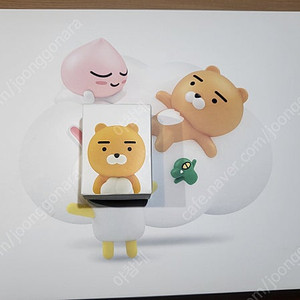 카카오 체중계 (가격내림)
