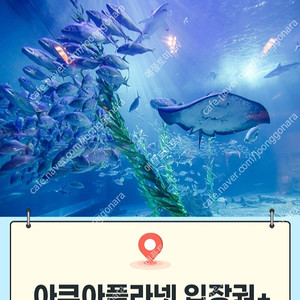 제주/ 여수/ 광교/ 일산 아쿠아플라넷 아쿠아리움 모바일입장권 [빠른답장]