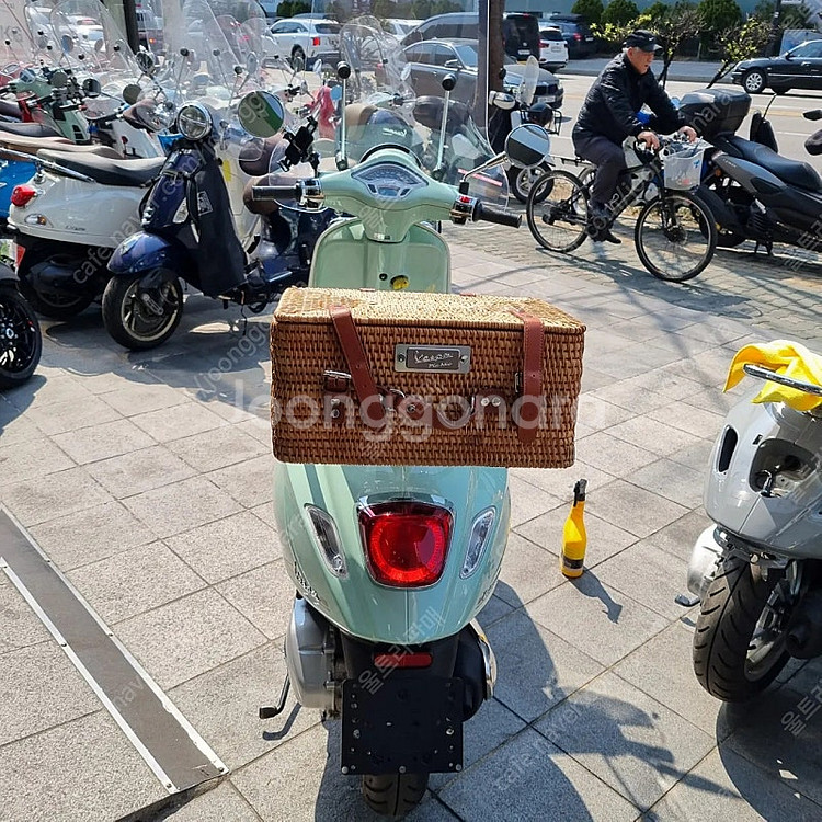 베스파 프리마베라 피크닉 에디션--2