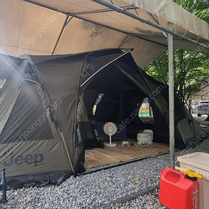 지프 실베스터리미티드