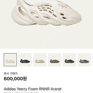 이지 폼러너 아라랏색상265 이미지