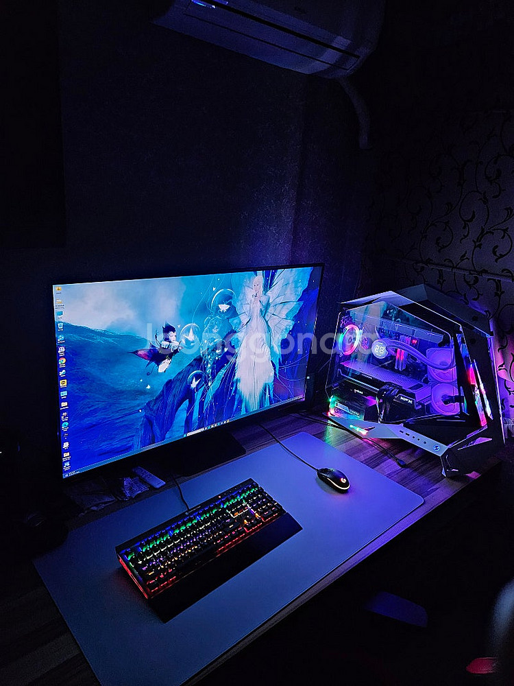 Xfx 7900xtx(25년2월구매품) +250 으로 ...--0