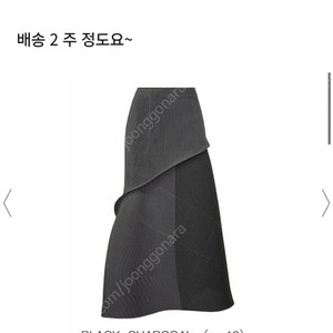 이세이미야케 스커트