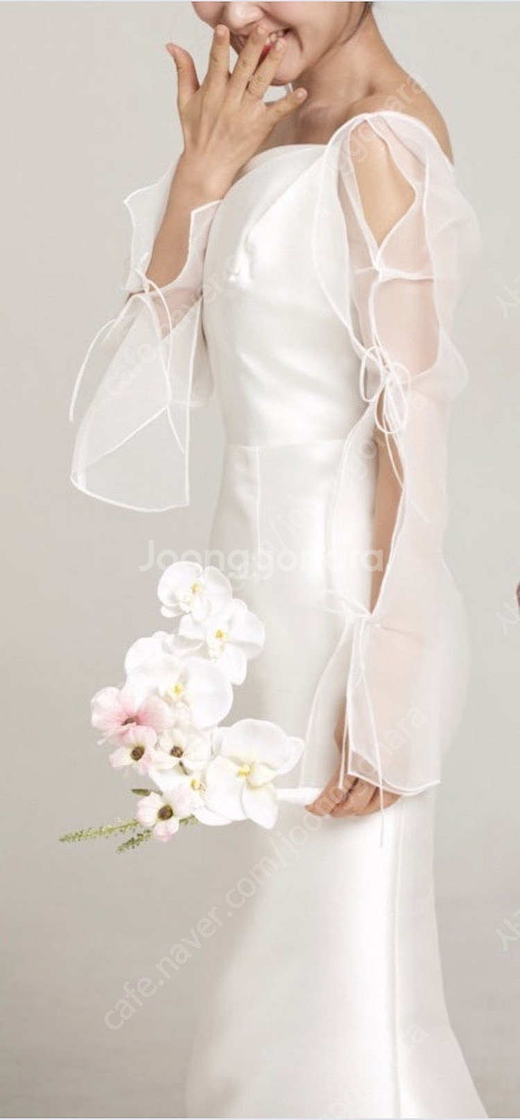 아르하 로시 구해봅니다--0