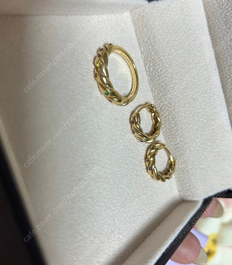 골든듀 오로라c--2