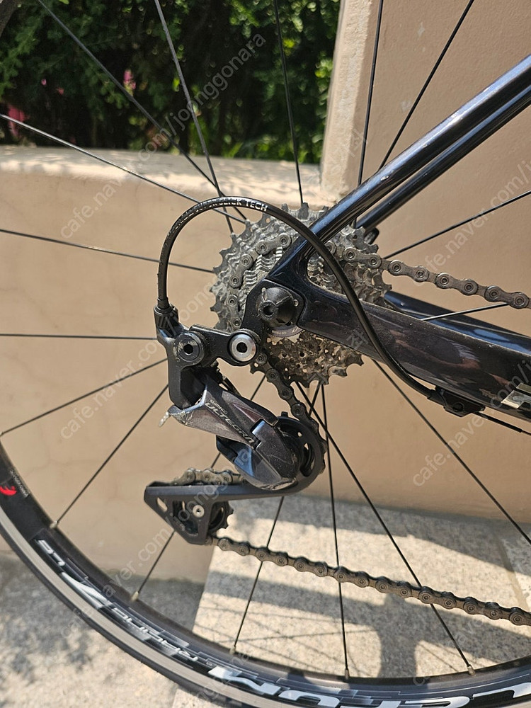 트리곤 다크니스 rs 스페셜 울테그라 46 여성 이미지