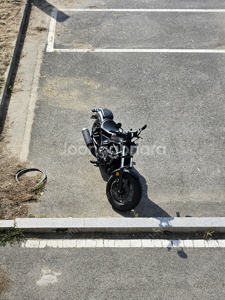 2024 혼다 레블 500(CMX500) 실버 색상 팝...--7