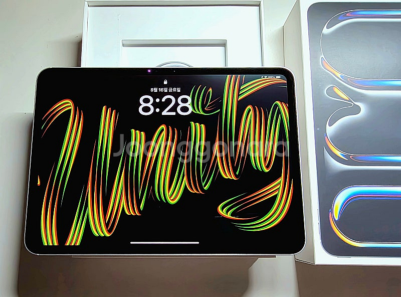 아이패드 프로 11 M4칩 wifi 256gb 실버 (...--0