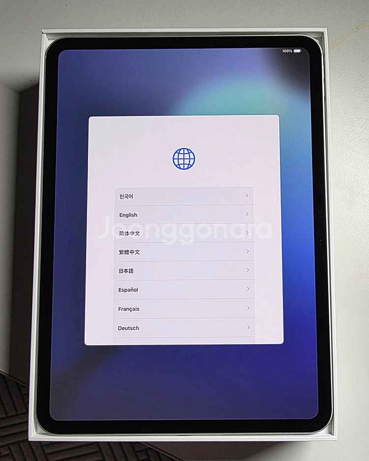 아이패드 프로 11 M4칩 wifi 256gb 실버 (...--1