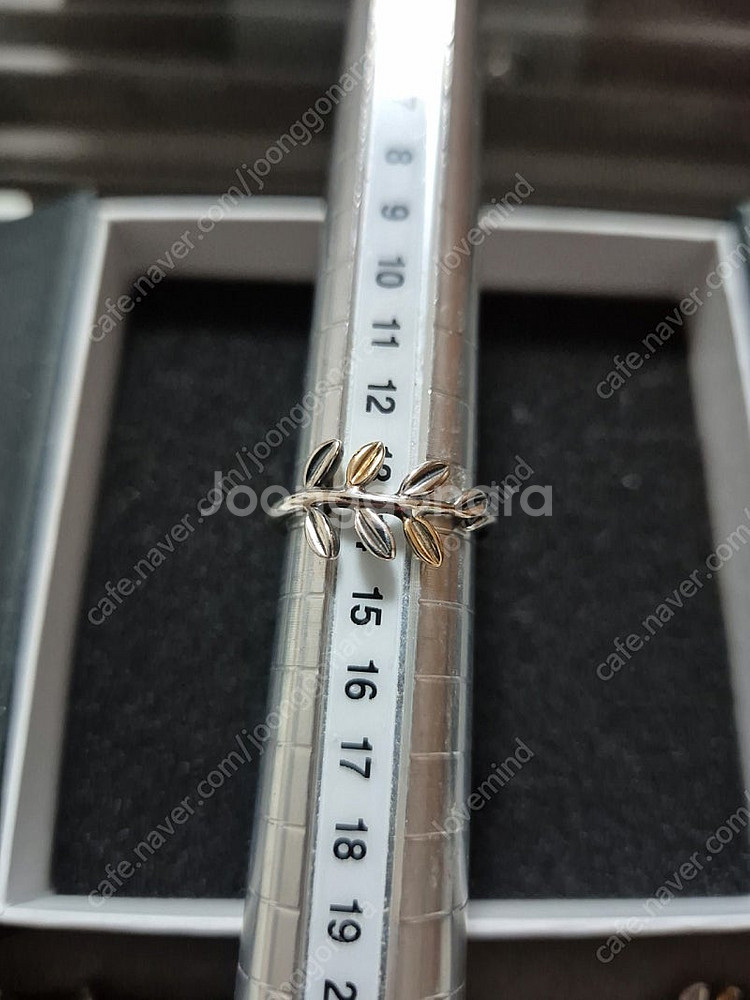 판도라 콤비월계수 단종반지 54 52호--1