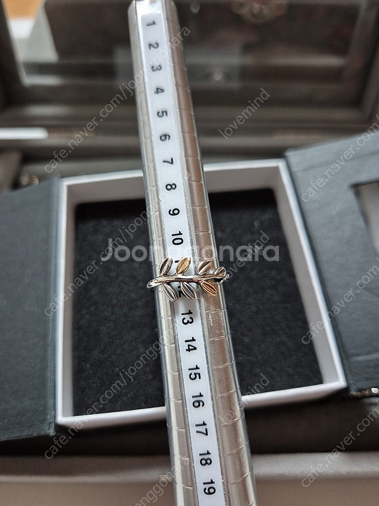 판도라 콤비월계수 단종반지 54 52호--7
