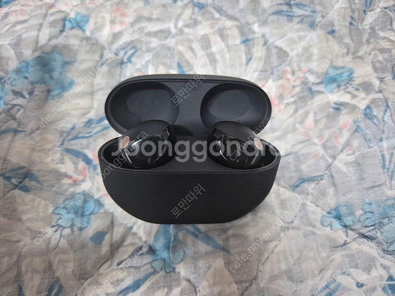 소니 WF-1000XM5 팝니다.--2