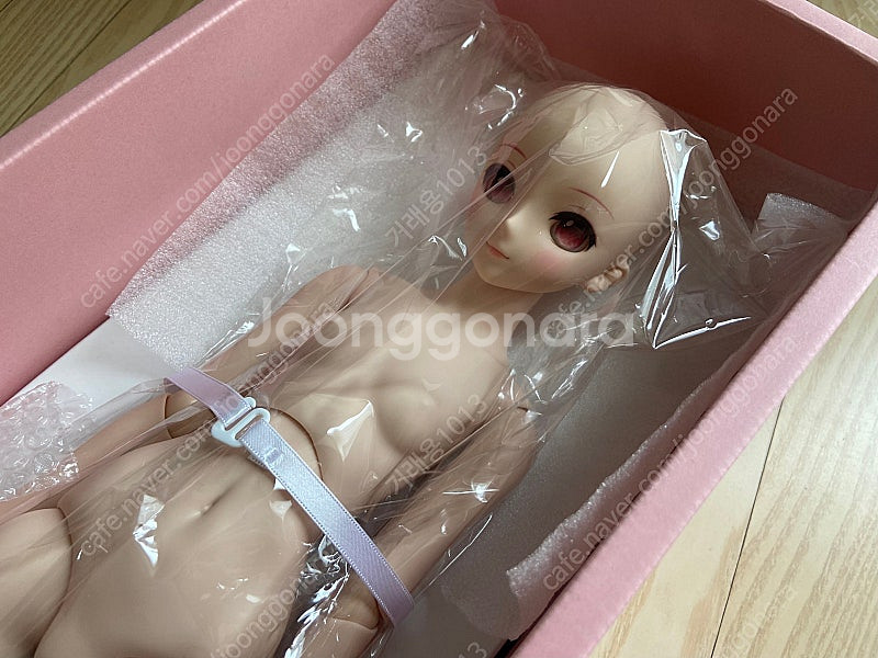 보크스 돌피드림 dd 사쿠라 미쿠 판매합니다--1