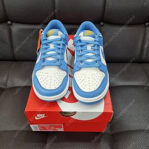 w250 나이키 덩크 코스트 우먼스