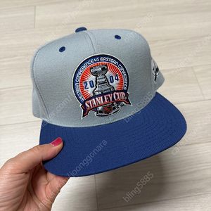 NHL 스냅백 캡