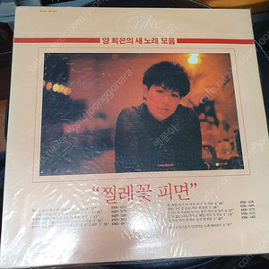 양희은 LP