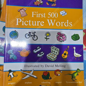 first 500 picture words book 와이즈 픽처북 유아 영어