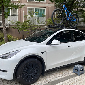 모델 Y 루프랙 + 툴레 598 자전거 루프 케리어