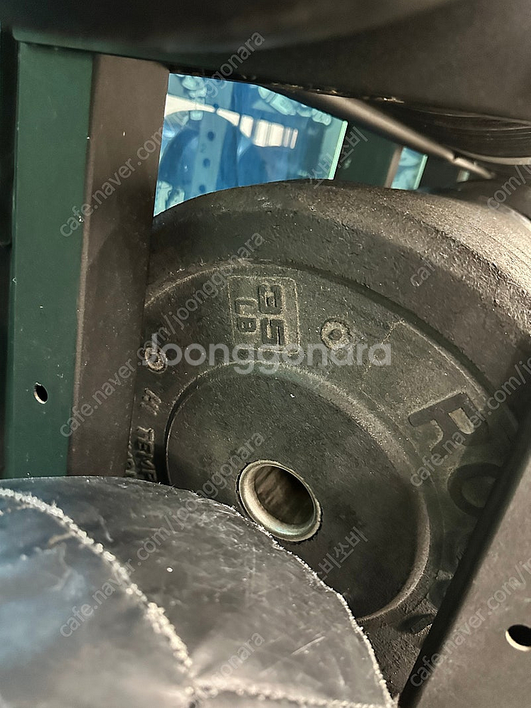 크로스핏 로그 바벨,플레이트,로그 범퍼 플레이트 로그 ...--6