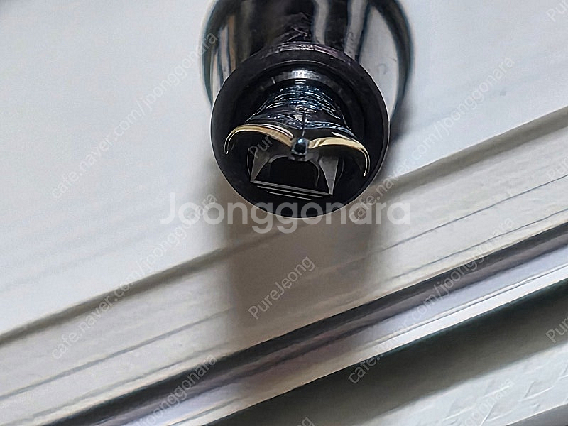 몽블랑 쇼팽 에디션 만년필 (145, F)--1