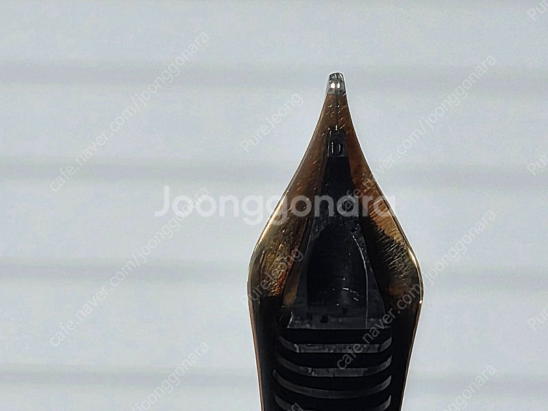 몽블랑 쇼팽 에디션 만년필 (145, F)--4
