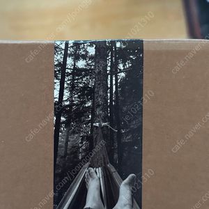 팔로산토스틱 50g + 도자기트레이