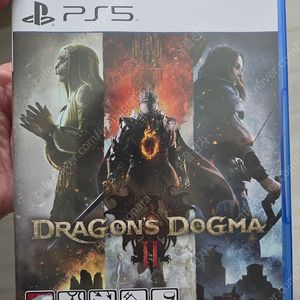 Ps5 드래곤즈 도그마2