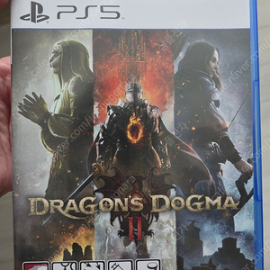 Ps5 드래곤즈 도그마2