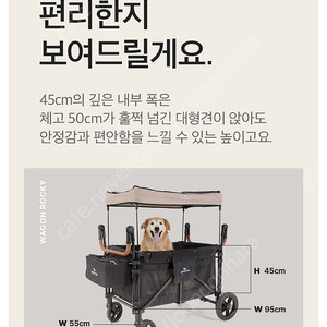 피카노리 웨건