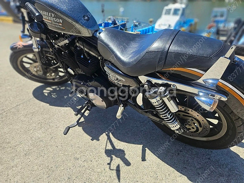 할리데이비슨 883r--3