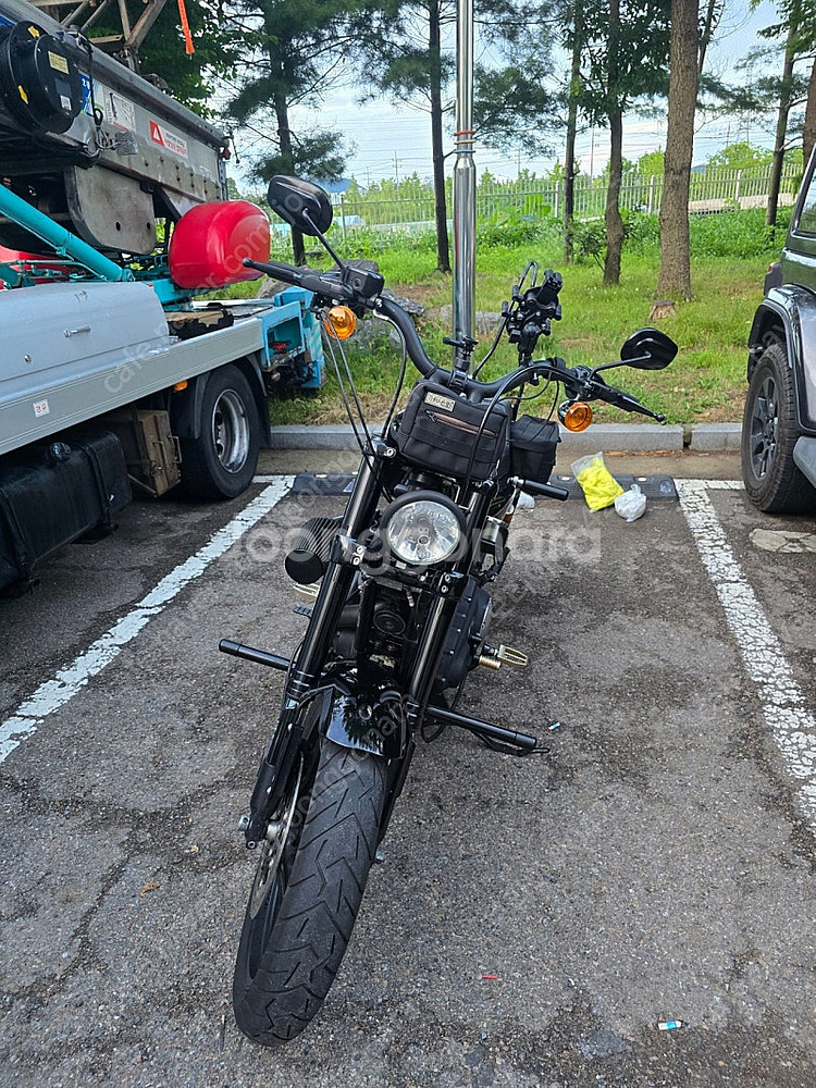 할리 로드스터 xl1200cx--3