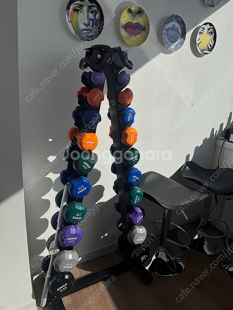 아령세트 덤벨세트 1~10kg + 덤벨거치대 덤벨렉포함--2