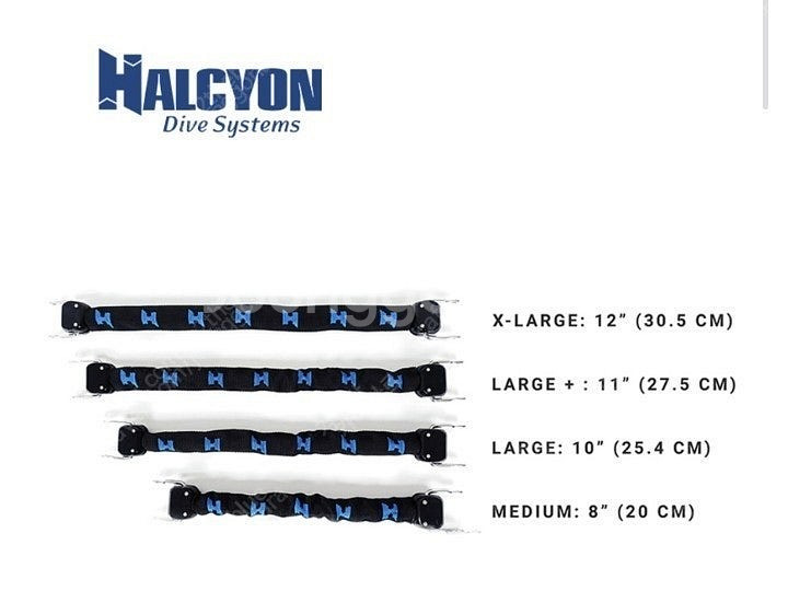 헬시온(HALCYON) 스프링 힐 스트랩 M사이즈 팝니...--0