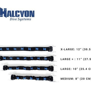 헬시온(HALCYON) 스프링 힐 스트랩 M사이즈 팝니다.(택포)