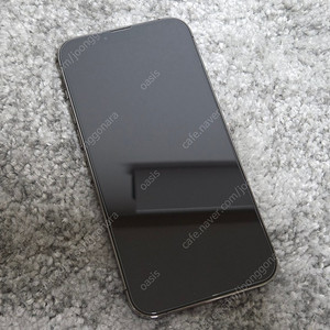 아이폰 13프로맥스 그래파이트 256gb 북미판 카메라 무음 판매합니다 (개인)