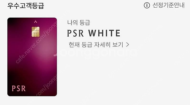 갤러리아 PSR화이트 발렛--0