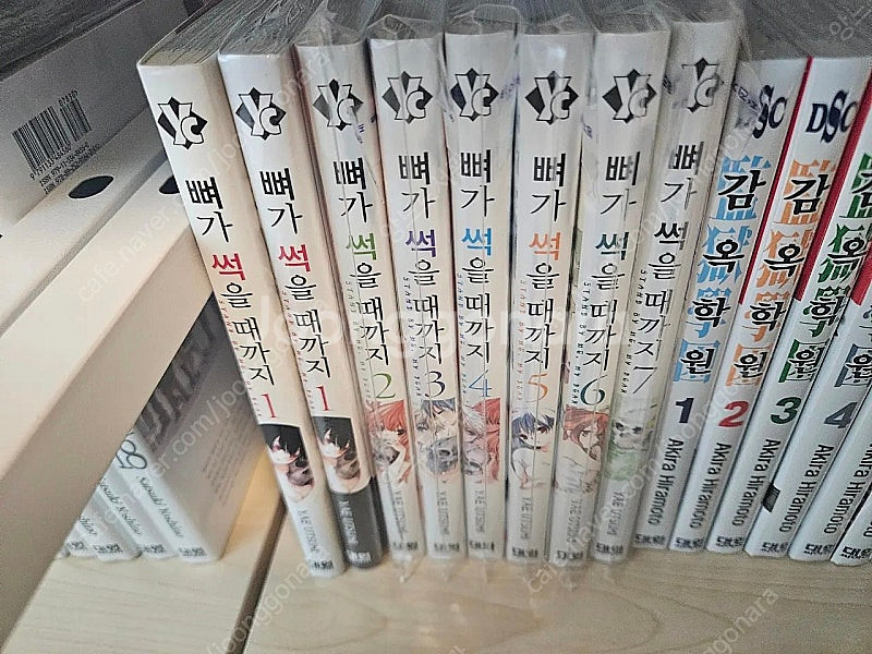 뼈가썩을때까지 만화책--0