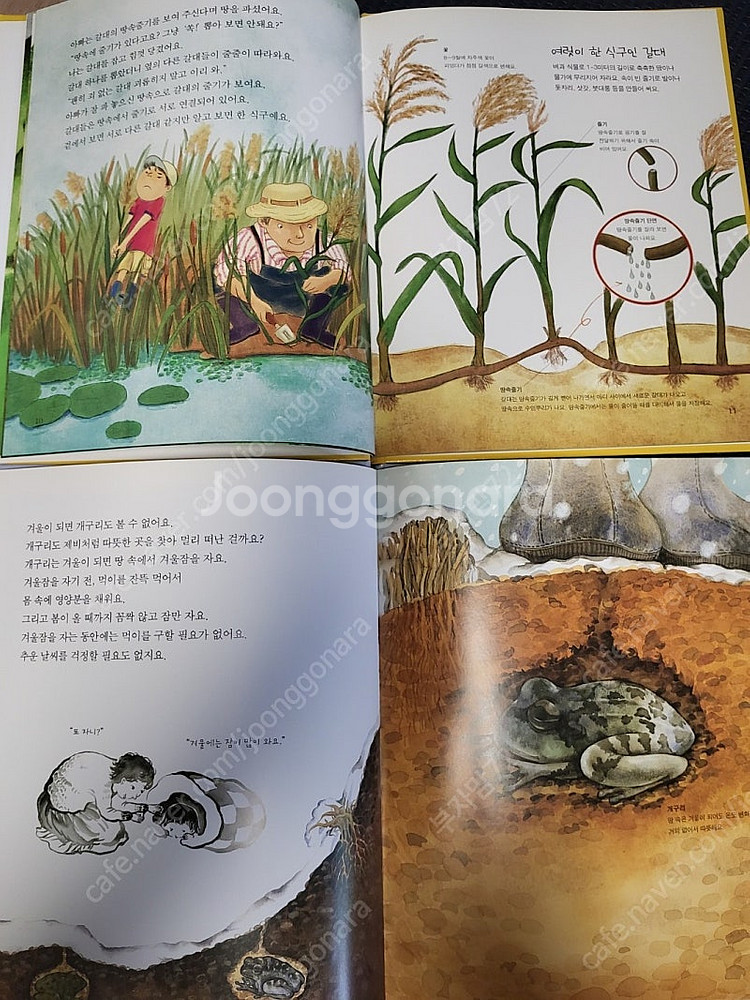 그레이트북스 생활속원리과학 71권 무료배송--2