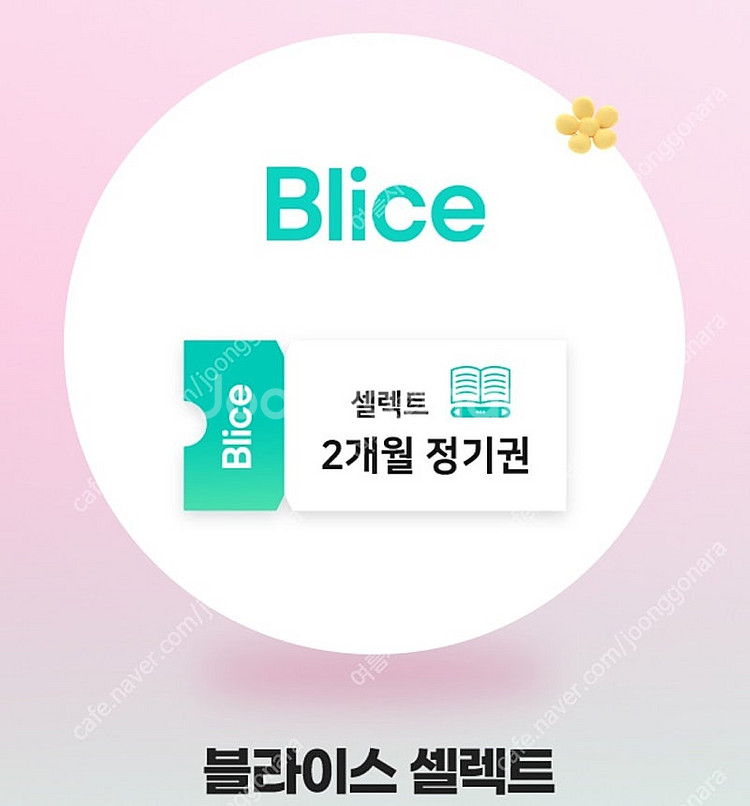 Blice블라이스 셀렉트 2개월 이용권 급처--0