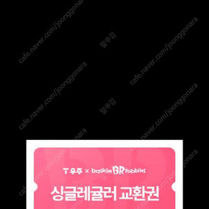 베라 싱글레귤러