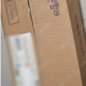 베베코알라 전집 (영문/한글) 풀세트 + 소전집 판매합니다! (미개봉/새상품)