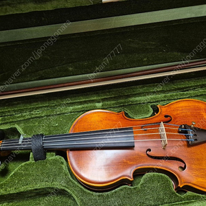 바이올린 SV-201 3/4사이즈 비올라 토니카현 셋팅