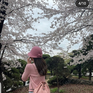 브론테,소피아 크로쉐,제니햇,핑크M