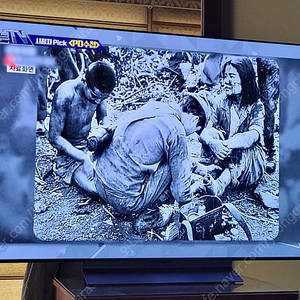 엘지 oled 55인치(24년 11월 구매품)
