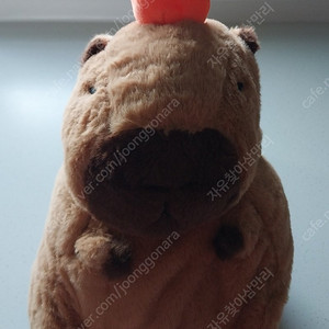 카피바라 인형가방