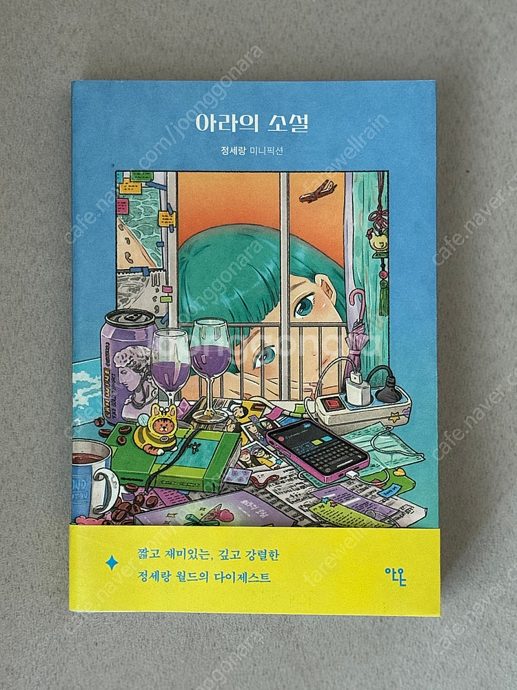 아라의 소설 반택포--0