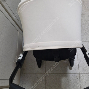 부가부 비5