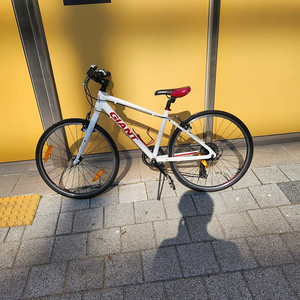 자이언트 이스케이프 jr 자전거 초등용