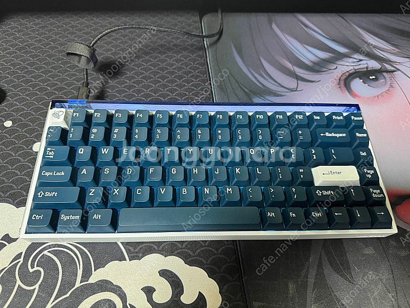 멜긱 made84pro water 8k 래피드트리거 키...--3